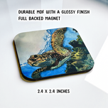Edgar Magnet