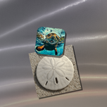 Walter Magnet
