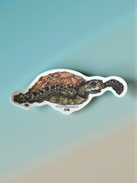 Kevin Sticker